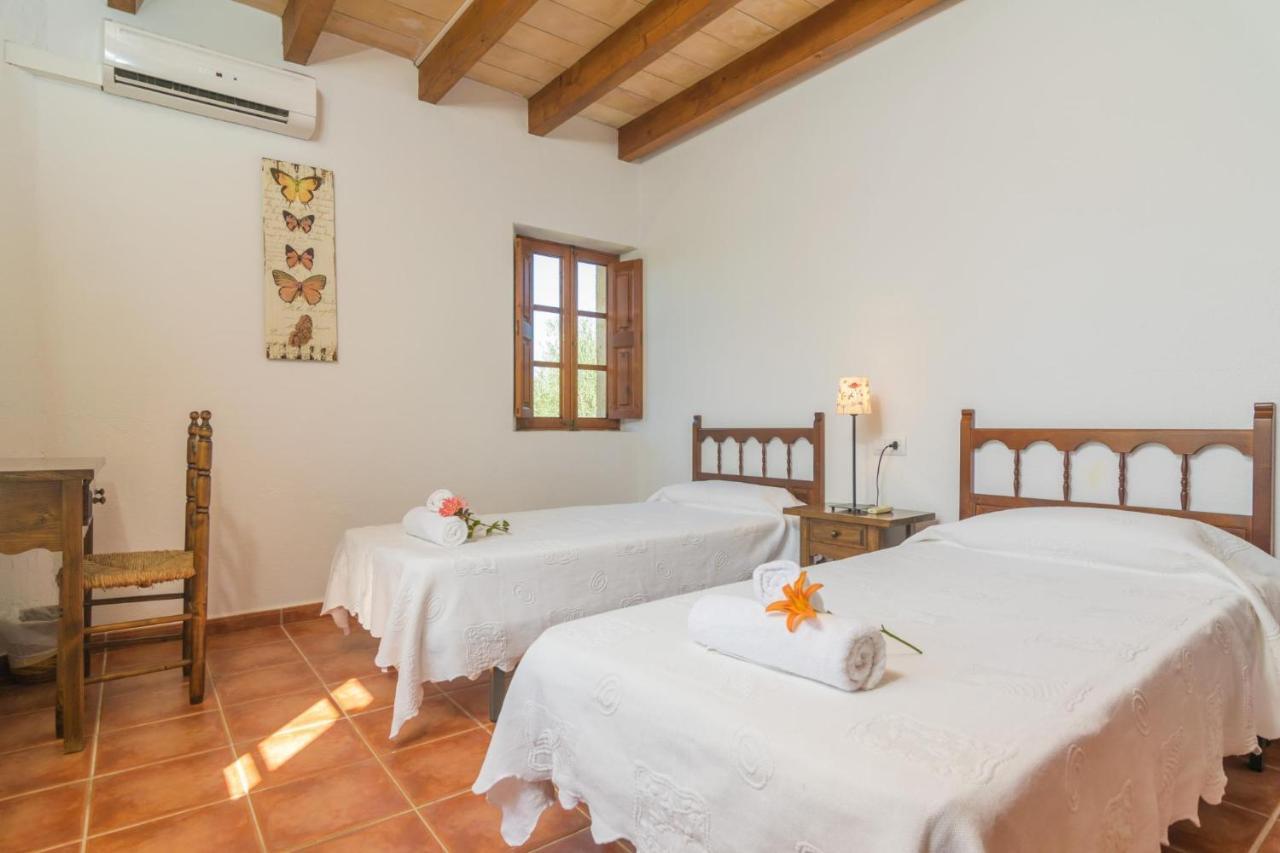 Villa Mercader *