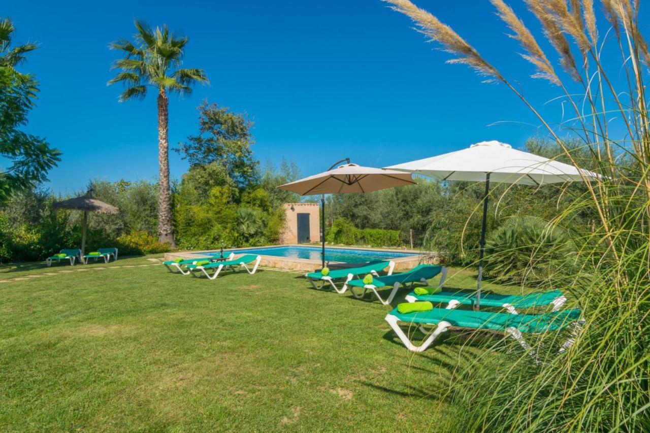 Mercader Alcudia (Mallorca)