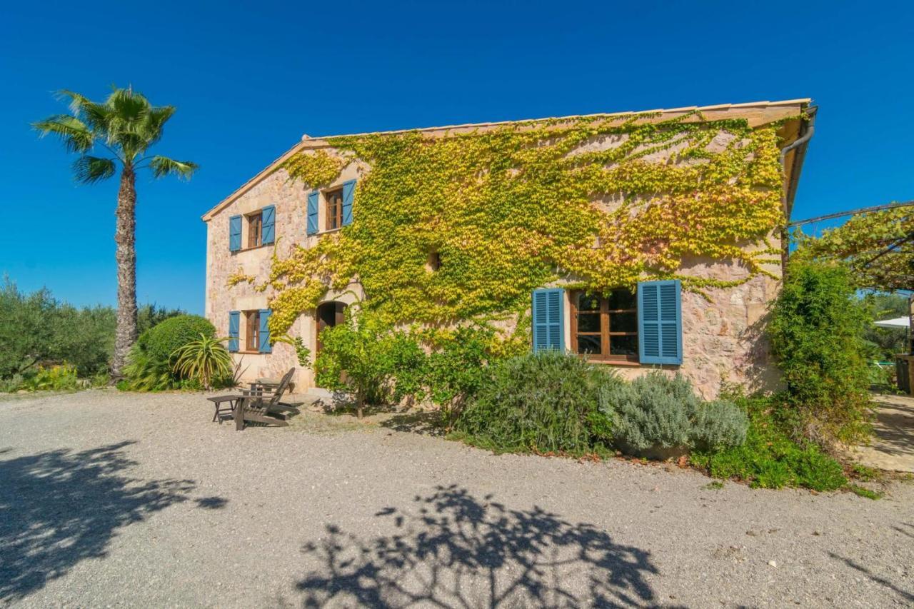 Mercader Villa Alcudia (Mallorca)